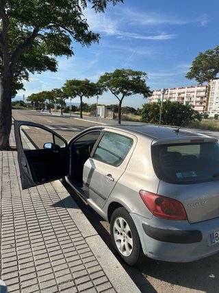 Peugeot 307 2002