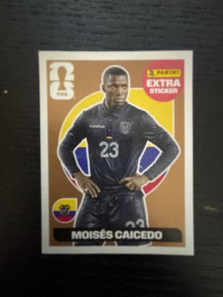 Cromos Moises Caicedo Extra Sticker