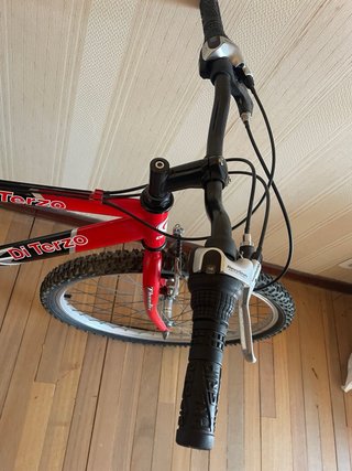 Bicicleta roja