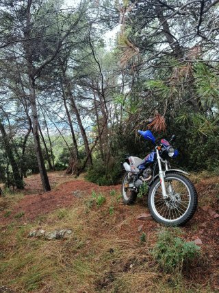 Beta Alp 200 Enduro Moto