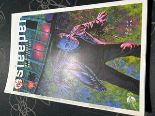 Comic sleeper