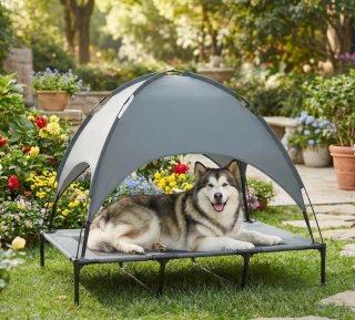 Cama elevada para mascotas con toldo