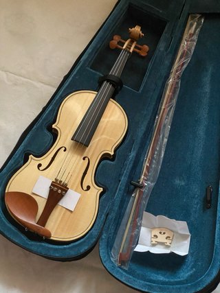 Violín 4/4 con estuche y arco