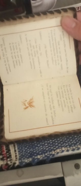 Libro Antiguo Religioso Espigas