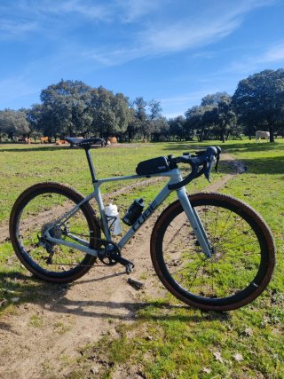 Cube Nuroad C62