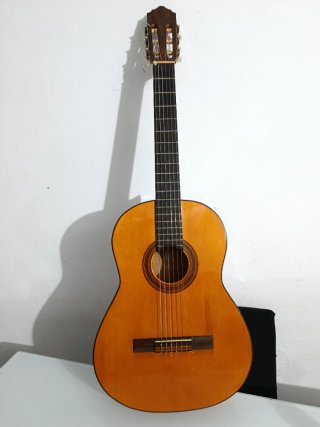 Guitarra Flamenca Clásica