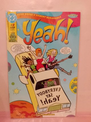LOTE DE 10 COMICS DE SUPER HEROES FIRESTORM.