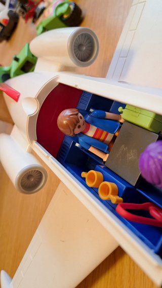 Avión Jet Playmobil con Delfines