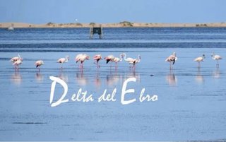 Vacaciones Júlio, Apartamento Delta del Ebro