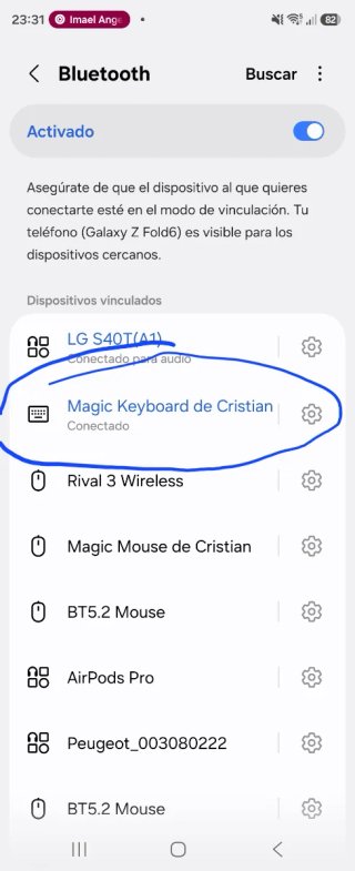 Teclado Apple Magic Keyboard Plata teclado