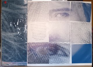 Rod Stewart LP Camouflage