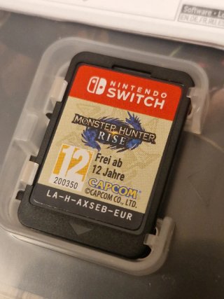 Monster Hunter Rise nintendo Switch