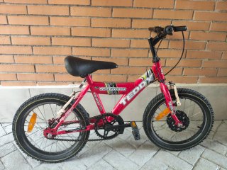 Bicicleta infantil Teddy 16 pulgadas
