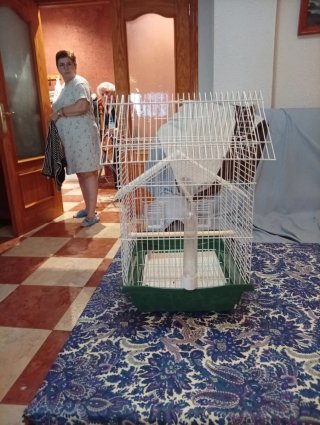 Jaula Agaporni casi nueva
