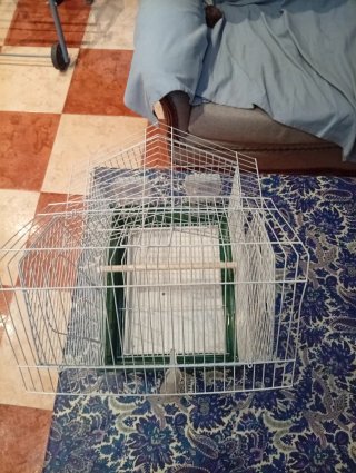 Jaula Agaporni casi nueva