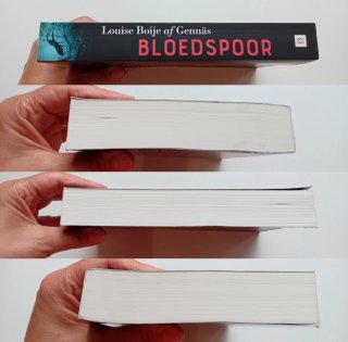 Bloedspoor,Louise Boije af Gennäs