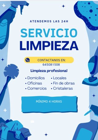 Limpieza profesional.