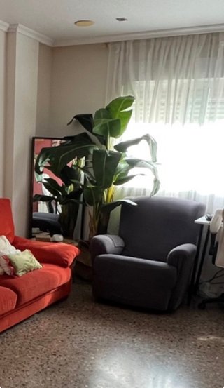 Vendo sofá y sillón abatible