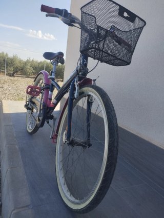 Bicicleta con cesta y guardabarros