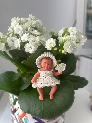 Ropa My Mini Baby Zuru