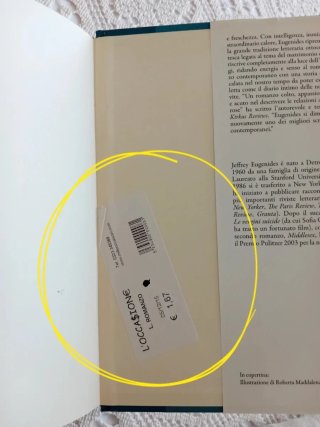 La trama del matrimonio di Jeffrey Eugenides