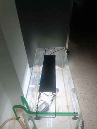 Pecera 70L completa con accesorios