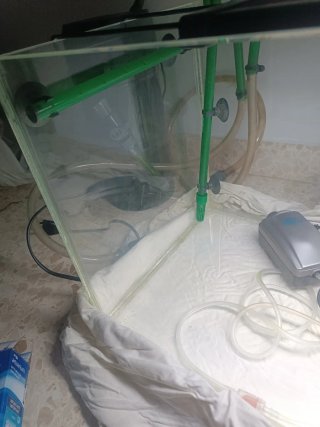 Pecera 70L completa con accesorios