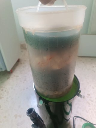 Pecera 70L completa con accesorios