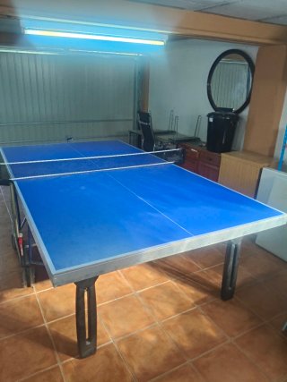 Mesa de ping pong plegable