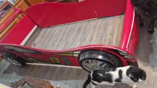 Cama Coche Infantil Rojo