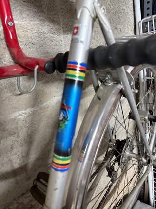 Venta o cambio Bicicleta Paseo Condor Suiza Plata