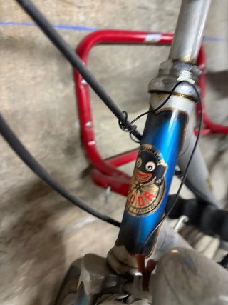 Venta o cambio Bicicleta Paseo Condor Suiza Plata