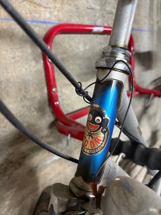Venta o cambio Bicicleta Paseo Condor Suiza Plata