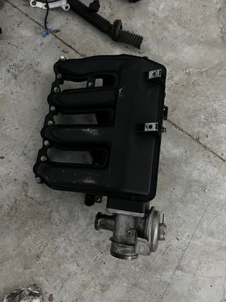 Motor BMW M57 320d 150cv