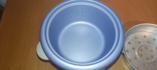 Arrocera Oster 0.6L con Vaporera