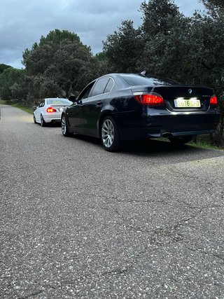 BMW Serie 5 530d 218