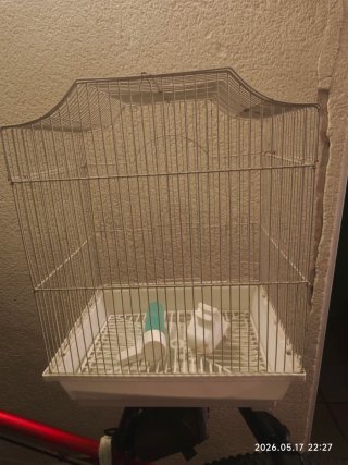 Gabbia bianca per uccelli