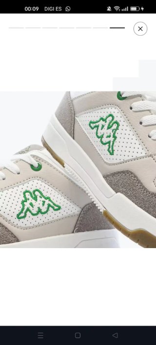 Baskets Kappa,pour homme basses.
