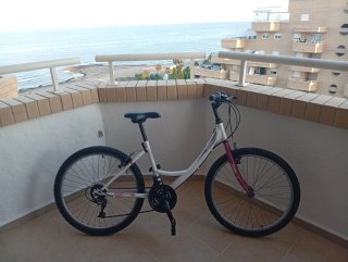 Bicicleta Hard Tail
