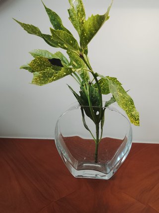 Jarra de vidrio transparente