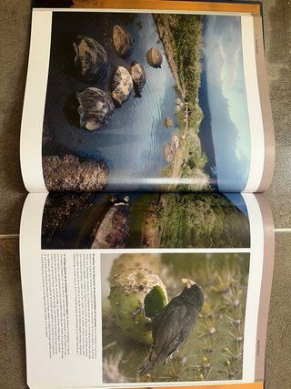 enciclopedia de los animales national geographic