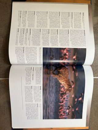 enciclopedia de los animales national geographic