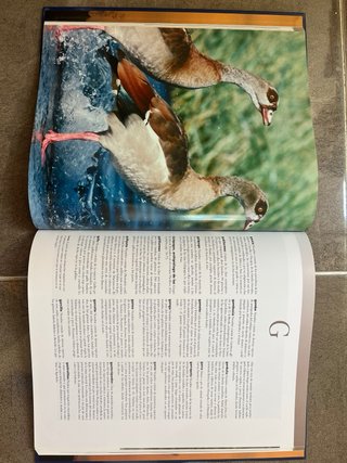 enciclopedia de los animales national geographic
