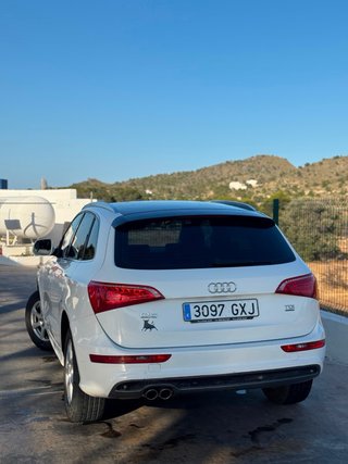 Audi Q5 2010