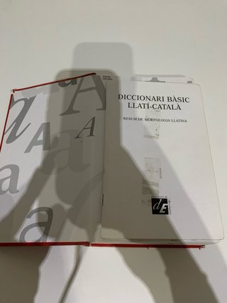 Diccionari bàsic llatí-català
