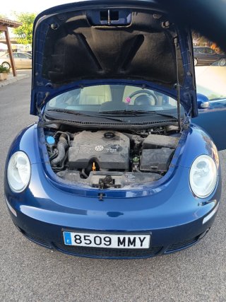 Volkswagen Beetle 2007