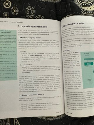 Lengua castellana y literatura 1, Le Bachillerato