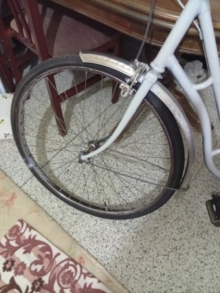 Bicicleta Gris