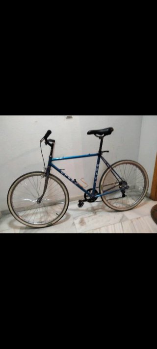 Bicicleta Retro Azul