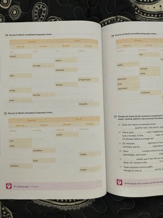 Nou Pas i Repàs. Llengua catalana BATX